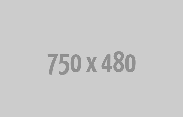 Junior/Mid-Level WordPress Theme/Frontend Developer